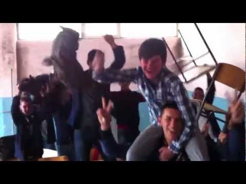 Harlem Shake 'X-2' Viti.