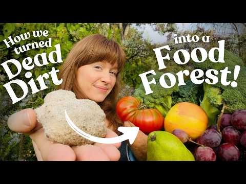 Worst Soil? See Our Food Growth Successes!