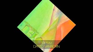 David Sanborn - IT'S YOU