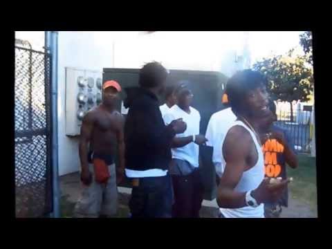 D-FREZH- COCKEY STOCKTON ANTHEM DIRECTED BY F8L TEAM GUMMIE FILMZ GREEN OVER PINK