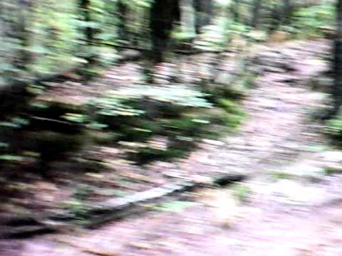 02 Pavullo - Pte. del Diavolo