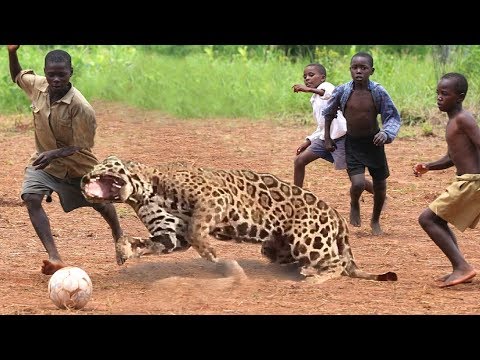 10 incredible scientific facts about animals