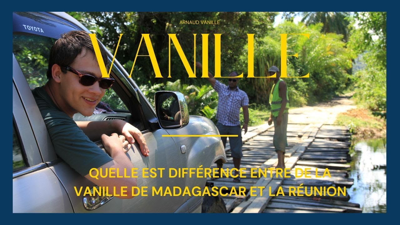 Quelle est Différence entre de la vanille de Madagascar et la Réunion C'est quoi la vanille Bourbon