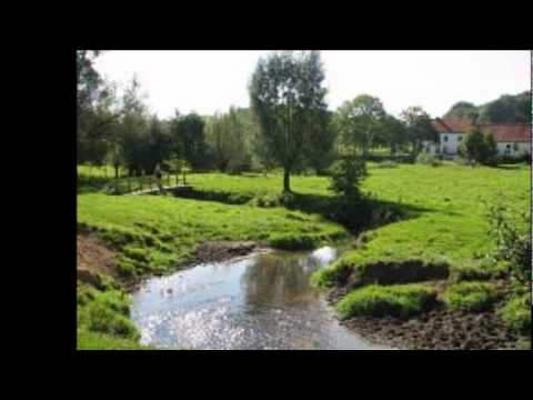 Doe (Limburgs maedje) Niks Mier & Niks Minder (inzending LVK 2012) Grashoek