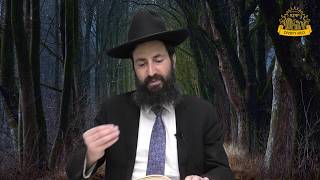 חידושים ופרפראות מרתקים על פרשת השבוע: הגאון הרב משה כהן שליט"א בשיעור לפרשת נשוא