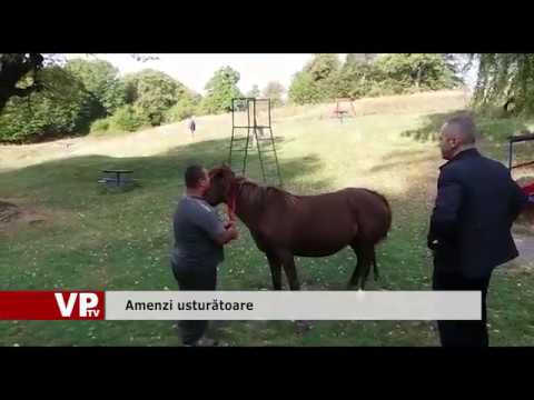 Amenzi usturătoare