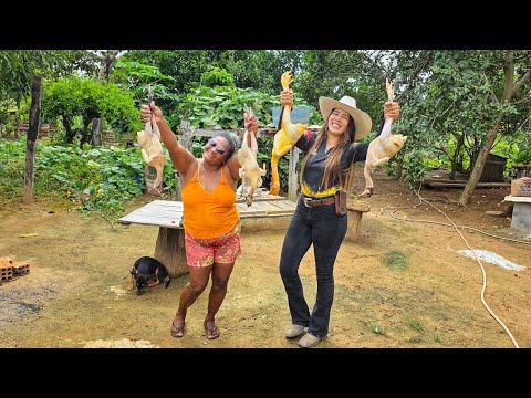 ABATEM0S 4 GALINHAS PARA LEVARMOS PARA O MARANHÃO!