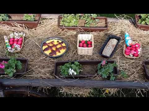 Hristos a inviat! Paste fericit!