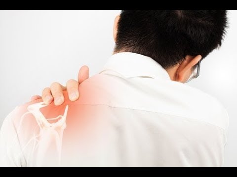 Ludzka anatomia rectus Jak budować mięśnie w żebrze