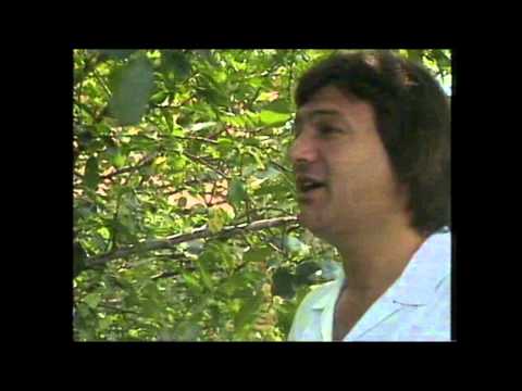 Saban Saulic - Hej Jano Jano (Official Video 1989)