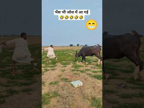 भैंस भी जोश में आ गई 🤣#comedy #funny #dance #shorts #trending #youtubeshorts