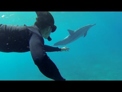 GoPro: Swimming With Dolphins