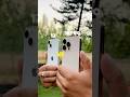 IPhone 13 Vs IPhone 16 Pro Camera Test