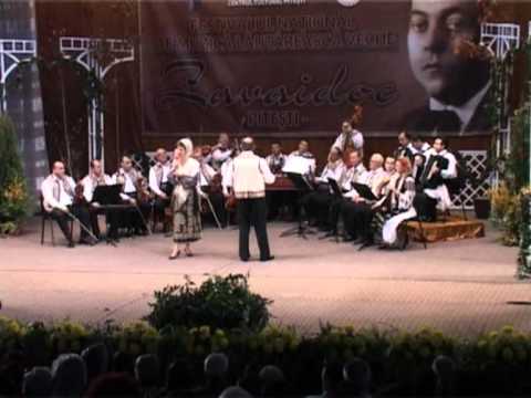 jurnal 28 11 2011 festival zavaidoc castigatori   ema popa