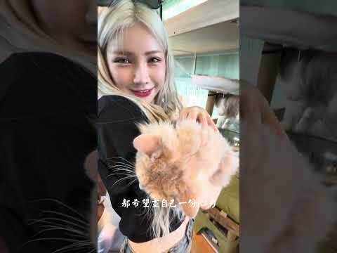 林恩-網紅與善的距離 - 第2集《貓狗知道》投票區