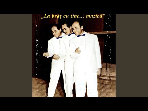 La Cabana „Trei Brazi"