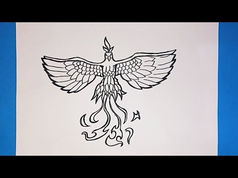 How to draw Phoenix step by step
