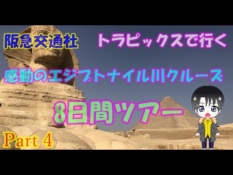 園芸 ドワーフエジプトパピルス、ドワーフナイルパピルス、ドワーフペーパーナッツエッジ