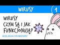 Viruses 1 What Are They And How Do They Work The Structure And Functioning Of Viruses Biolog