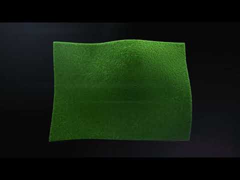 프렌즈 스크린