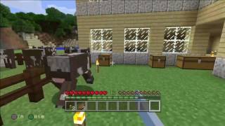家づくり後半！！あと、あるものをつくるよ！！　マイクラ実況バレンタイン