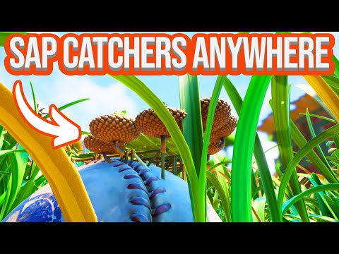 Where To Put Sap Catcher Grounded