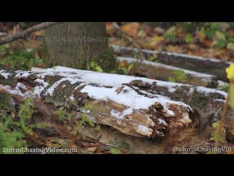 Barron County, WI First Snow Fall - 10/12/2019