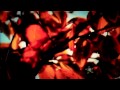 HD Marie Fredriksson - Den Ständiga Resan EPK ...