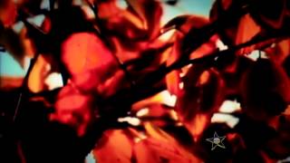 HD Marie Fredriksson - Den Ständiga Resan EPK 1992