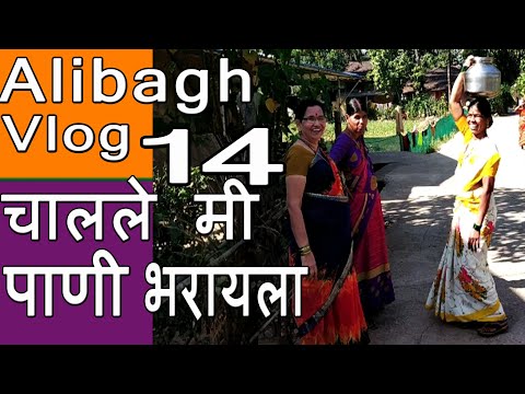 पाहूया गावातील सकाळचं वातावरण | Alibagh Vlog 14 | Shubhangi Keer Vlog Video