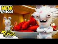 Rabb Attack S04E51 RABBIDS INVASION New Episode New Season Cartoon For Kids