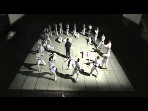 Trailer-Vorschau: Ip Man