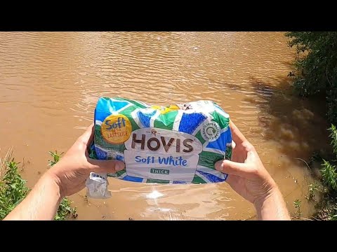 Surface fishing for CARP