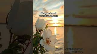 Download lagu 💕Nalam Vazha💕Marupadiyum 💕Ilayaraja💕Video Lyrics song💕Tamil Whatsapp Status Songs💕 mp3 Download lagu 💕Nalam Vazha💕Marupadiyum 💕Ilayaraja💕Video Lyrics song💕Tamil Whatsapp Status Songs💕 mp3