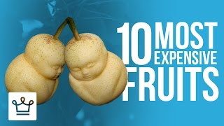 Download lagu 10 Buah Termahal di Dunia mp3 Download lagu 10 Buah Termahal di Dunia mp3