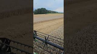 Mietitrebbia per grano John Deere S670 in vendita - Immagine 4 | Agronetto IT Mietitrebbia per grano John Deere S670 | Immagine 4 - Agronetto