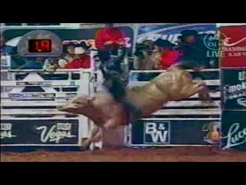 Cold Cash bucks James White - 04 PBR Fort Worth