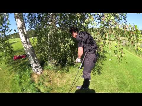 The Ball is Under a Tree! What Happens Next?