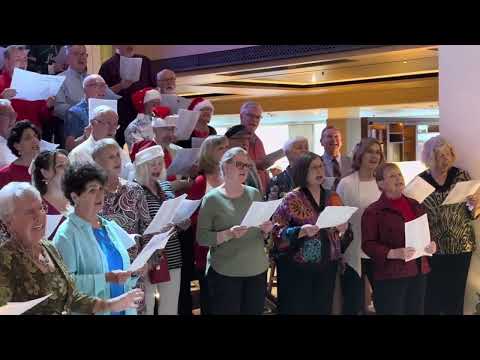 Thumbnail for Viking Sky Christmas Choir - Deck the Halls