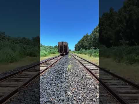 Estação Ferroviária General Curado, Anápolis - Goiás - com chegada em Pirenópolis