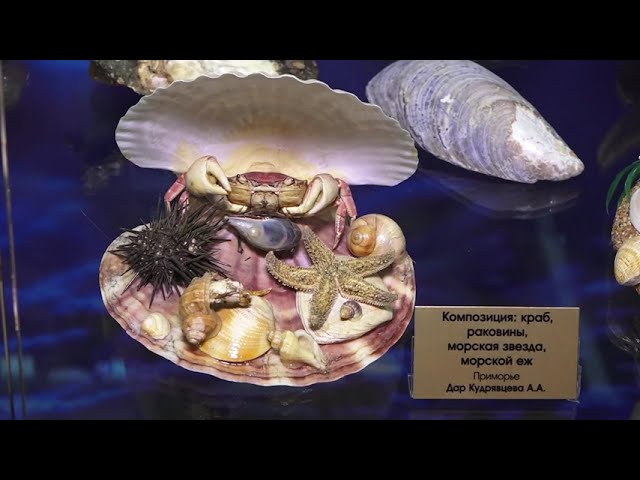 Загадки океанических глубин