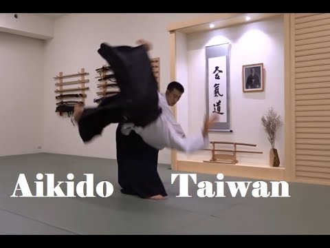 Dynamic Aikido Practice with Ed and Toshi