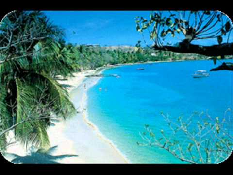 The Fly Bi Nites - Found Love (1967)