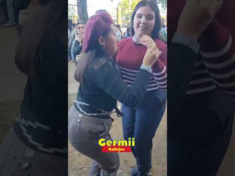 Fiesta patronales Palmar Grande corrientes 2026