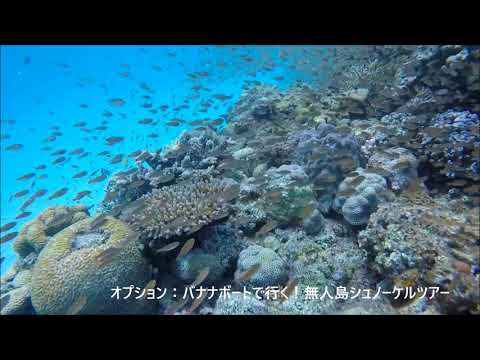 慶良間シュノーケリング 渡嘉敷島ツアー サンゴ豊かな阿波連ビーチ他2か所でシュノーケリング三昧の1日 写真 ランチ無料 北谷浜川漁港発 沖縄本島の観光 オプショナルツアー専門 Veltra ベルトラ 慶良間シュノーケリング 渡嘉敷島ツアー サンゴ豊かな阿波連ビーチ他2か所でシュノーケリング三昧の1日 写真 ランチ無料 北谷浜川漁港発 沖縄本島の観光 オプショナルツアー専門 Veltra ベルトラ