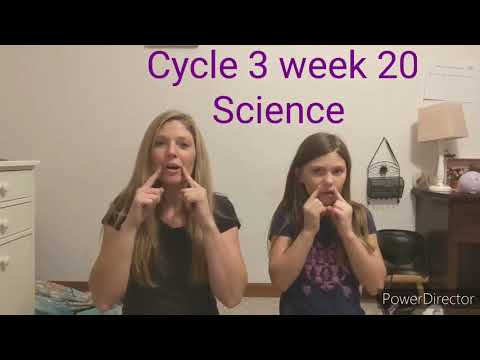 CC Cycle 3 Week 20 Science