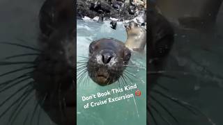 Don’t Book This Kind of Cruise Excursion 🚫 🛳️ First-Time Cruiser Mistake  🚨 #cruise #excursions