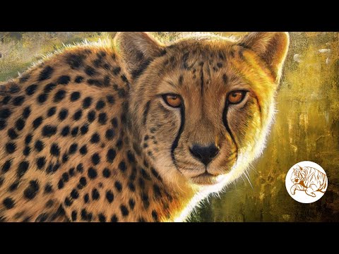 'The Golden Hour' Acrylic Cheetah Painting
