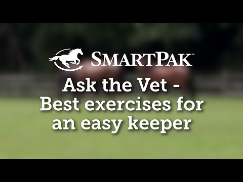 Ask the Vet - Best exercises for an easy keeper