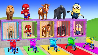 Long Slide Game with Cow Elephant Gorilla Hippopotamus Tiger 3d Animal Game Funny 3d Animals